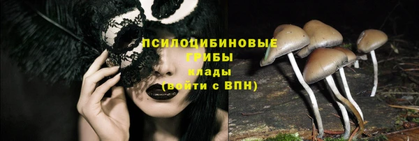 бошки Армянск