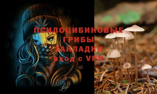 альфа пвп Арсеньев