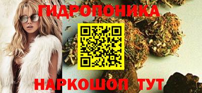 a pvp Братск