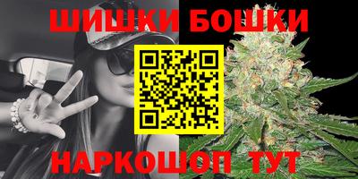 spice Брянск