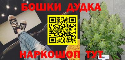 a pvp Братск