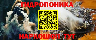 a pvp Братск