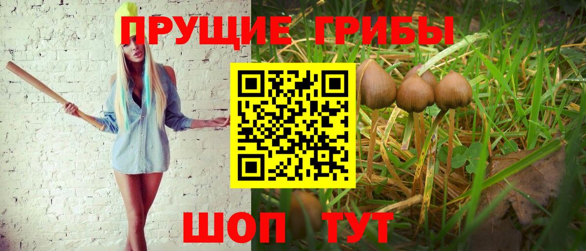 Новомосковск  Галлюциногенные грибы Psilocybine cubensis  Галлюциногенные грибы мицелий  Вход с VPN 