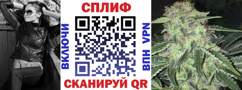 Бошки марихуана MAZAR  гидра онион  Новомосковск  цена наркотик 